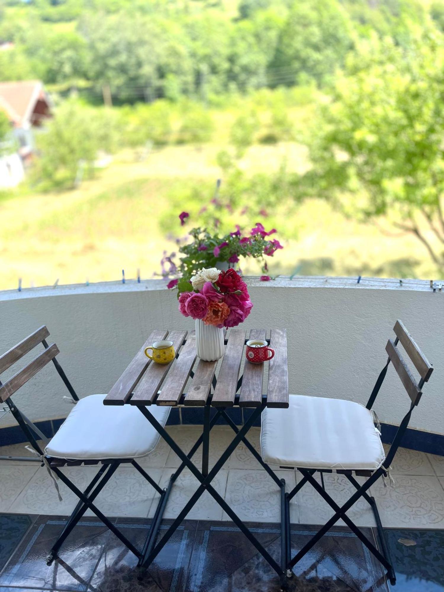 普拉夫Visitor Yard住宿加早餐旅馆 外观 照片
